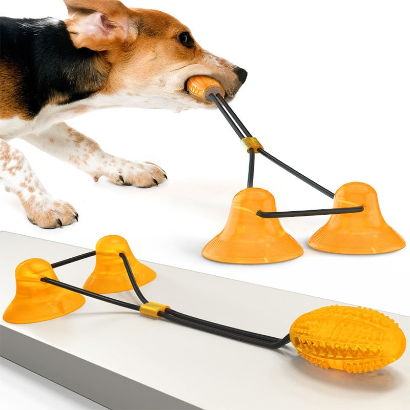 Juguete para perros – Pelota con ventosa, cuerda elástica y función de limpieza dental 🐾🦷