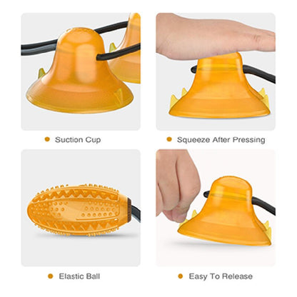 Juguete para perros – Pelota con ventosa, cuerda elástica y función de limpieza dental 🐾🦷