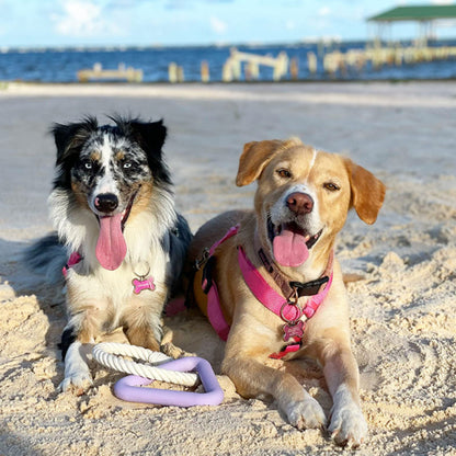 Juguete para perros – Juguete de tracción triangular de TPR para masticar 🐾🔺