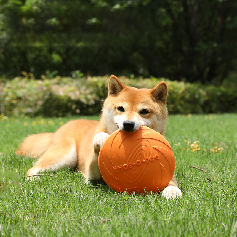 Juguete para perros – Frisbee profesional de goma blanda – ¡Diversión en tierra y agua! 🐾🎾💦