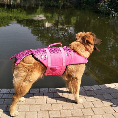 Chaleco salvavidas para perros – Diseño de tiburón y sirena – ¡Seguridad y estilo en el agua! 🐾🦈🧜‍♀️