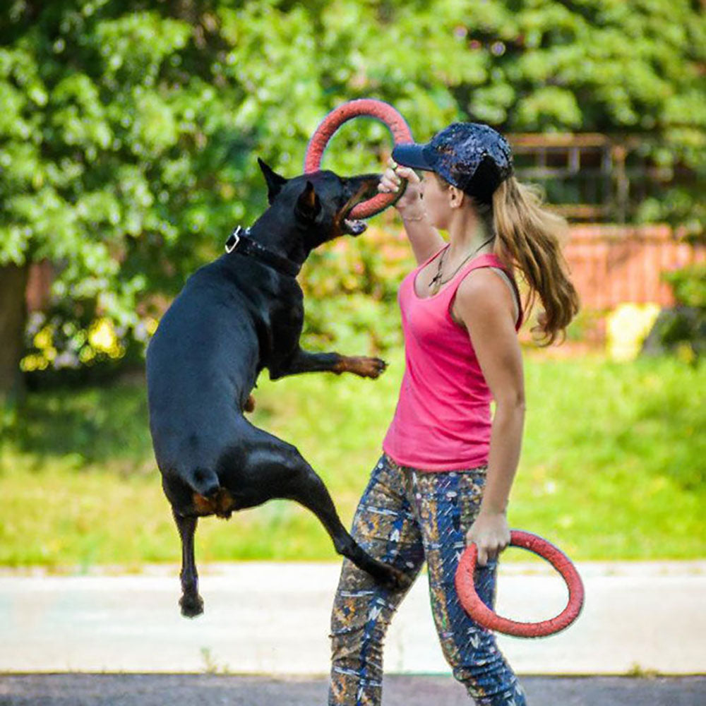 Juguete para perros – Disco volador interactivo para entrenamiento y actividades al aire libre 🥏🐾