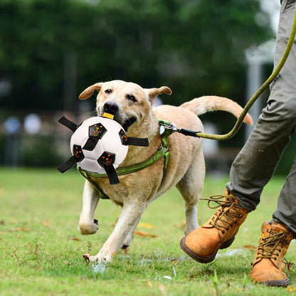 Juguete para perros – Pelota de fútbol con cuerdas de TPU (Ø 17 cm) ⚽🐾