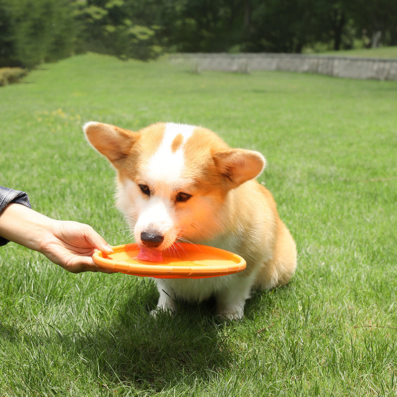 Juguete para perros – Frisbee profesional de goma blanda – ¡Diversión en tierra y agua! 🐾🎾💦