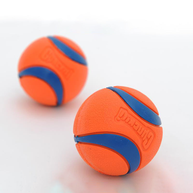 Bite Reuguete para perros – Pelota de goma resistente para juegos de buscar y masticar 🐾🎾