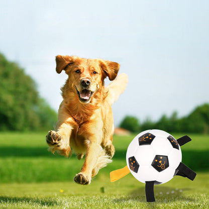 Juguete para perros – Pelota de fútbol con cuerdas de TPU (Ø 17 cm) ⚽🐾