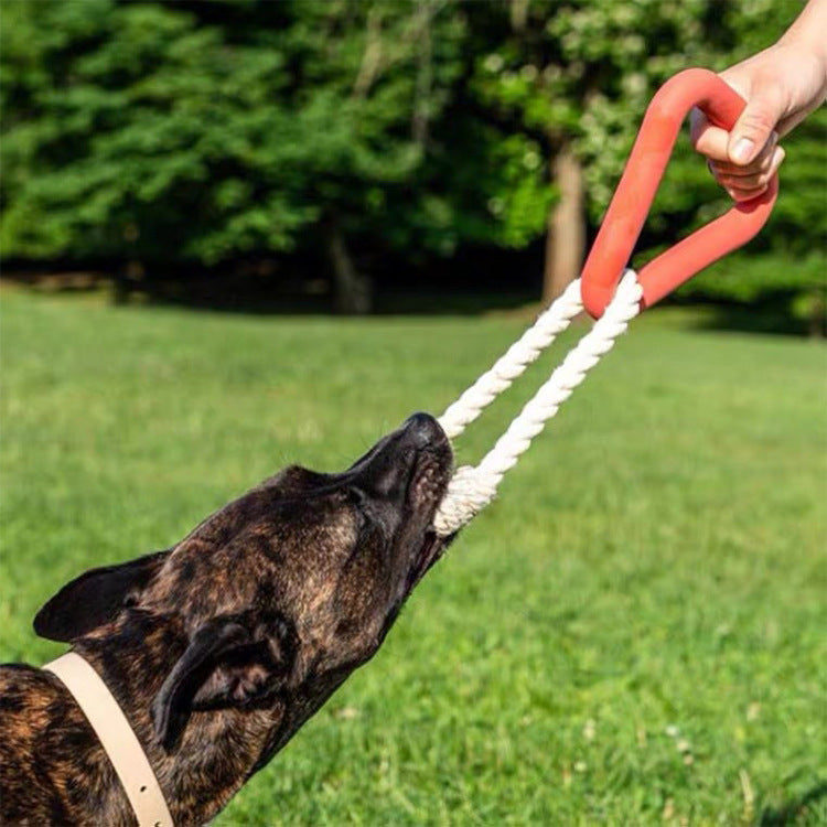 Juguete para perros – Juguete de tracción triangular de TPR para masticar 🐾🔺