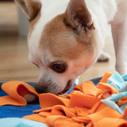 🐶 Alfombra olfativa para perros – Juego, diversión y comida más saludable 🦴